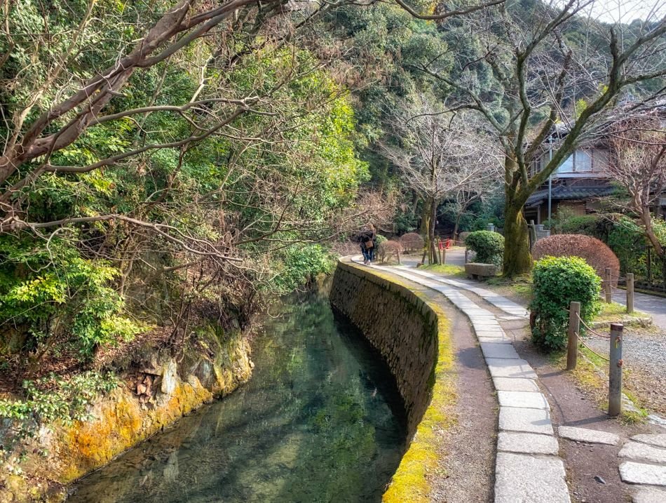 🌸 호조 큰 연못(호조 오이케) 이미지 5